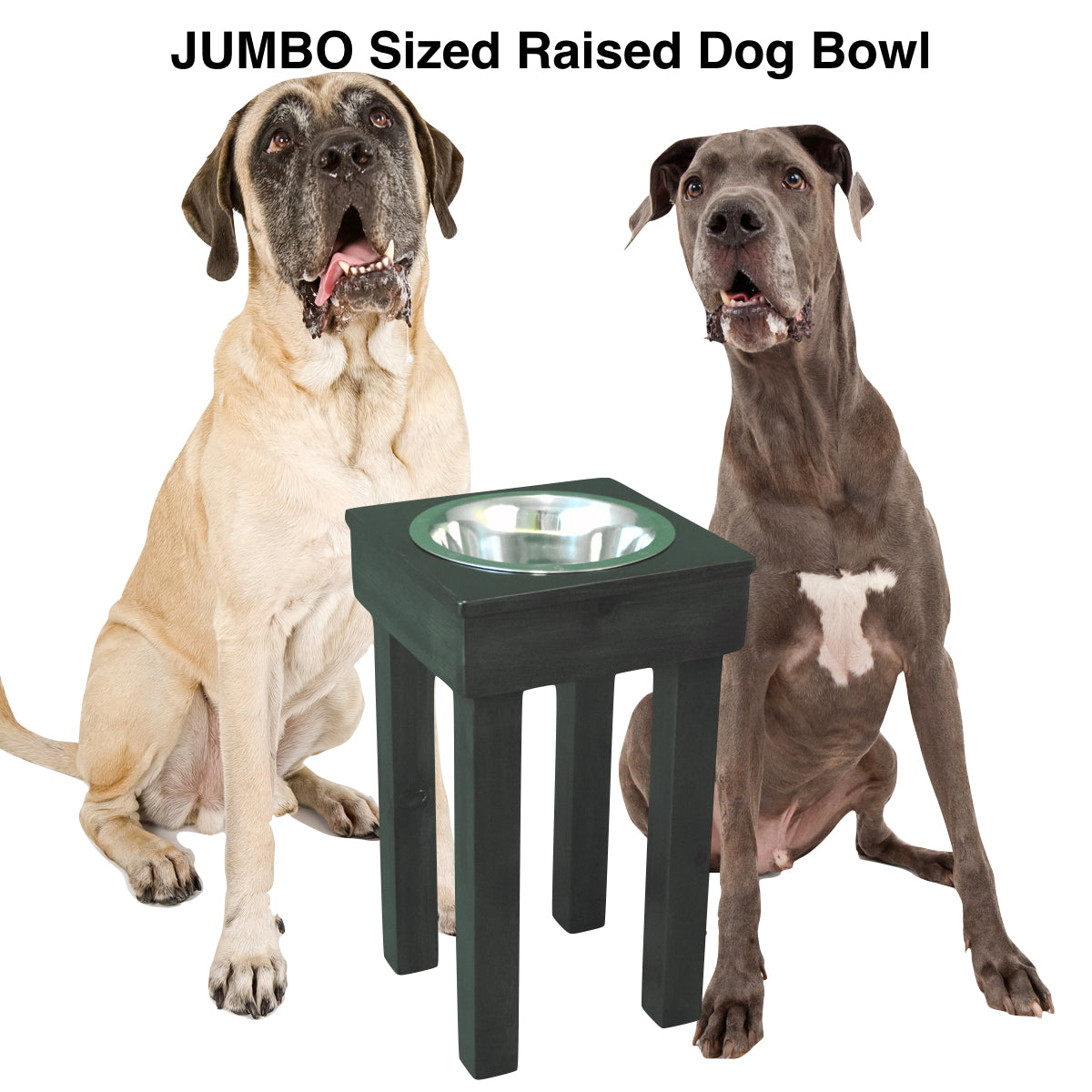 Raised Single Bowl for large dogs, two stainless-steel bowls, 24