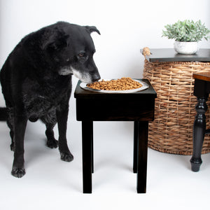17" tall,  Large Raised Single Bowl feeder for dogs