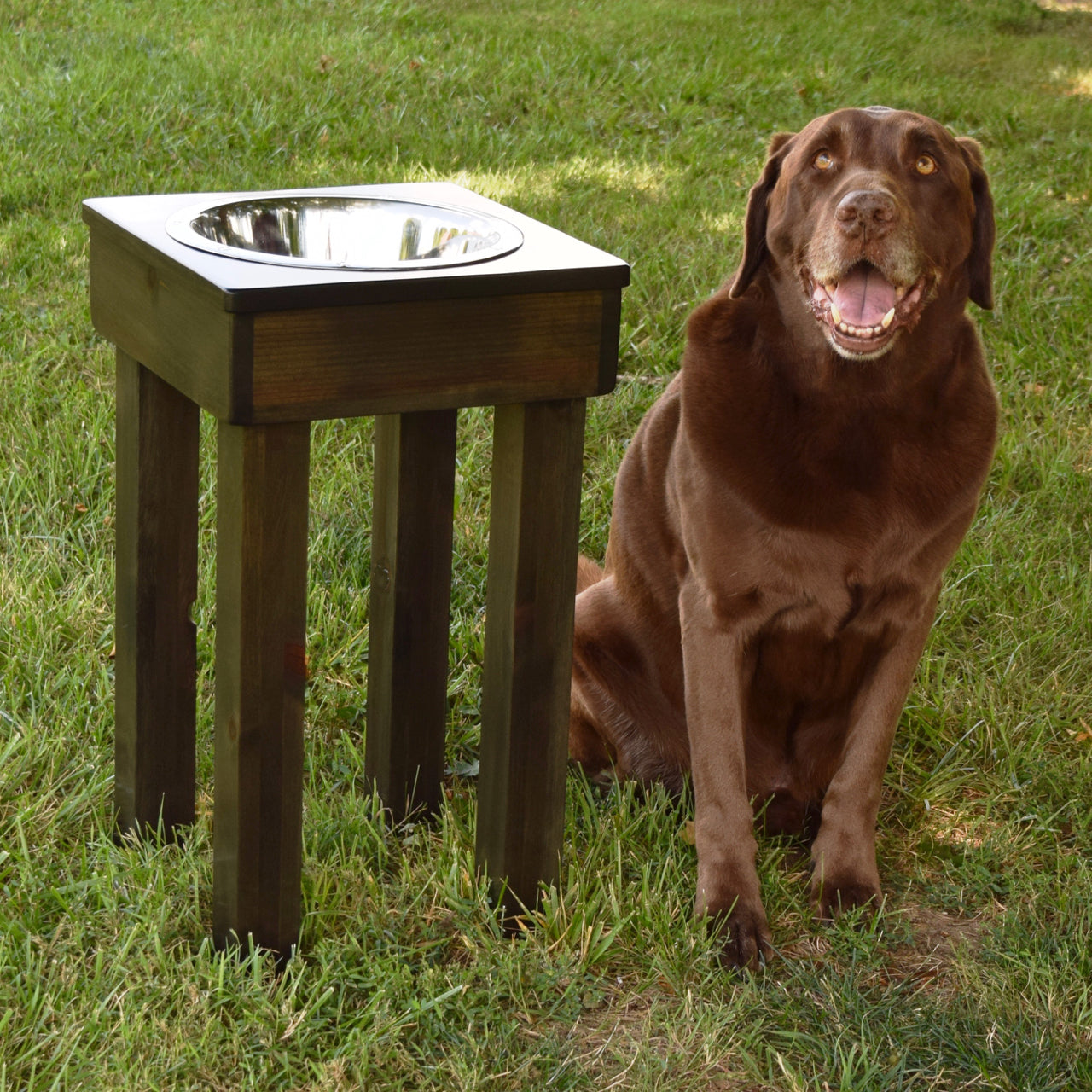 Elevated Dog Food Water Bowls, Dog Food Bowls Large Dogs